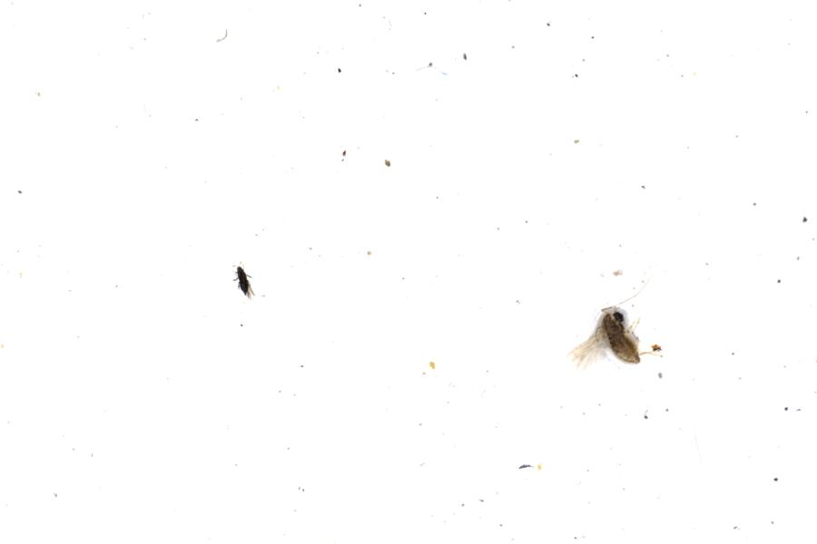 Image 55